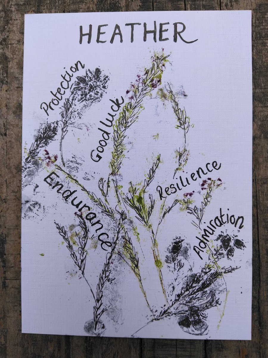 A6 original piece heather floriography