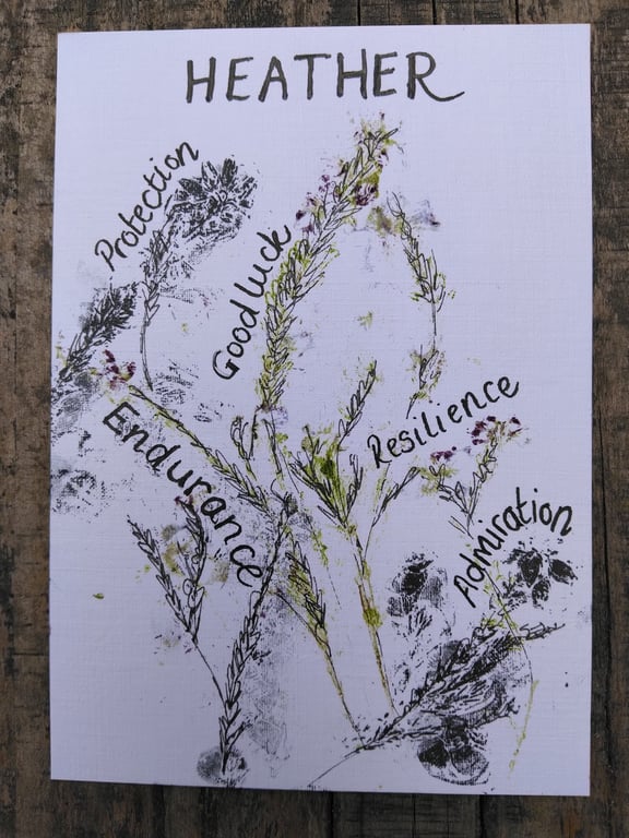 A6 original piece heather floriography