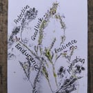 A6 original piece heather floriography