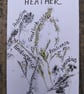A6 original piece heather floriography