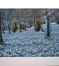 'Snowdrop Gardens' original hand-pulled screen print - Image 3
