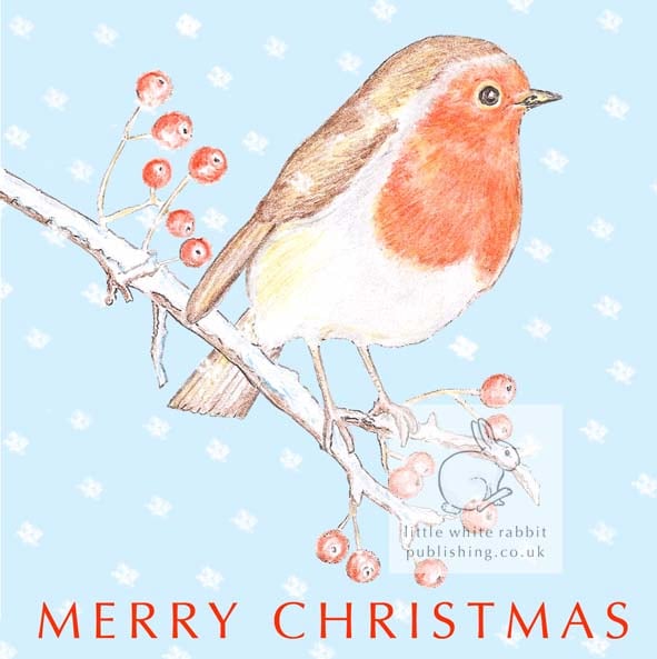 Robin Christmas Card