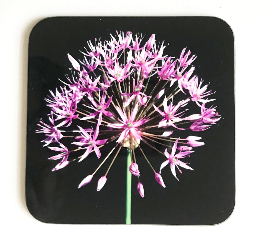 Allium Flower and Stem Square Coaster Pink Green and Black high gloss finish