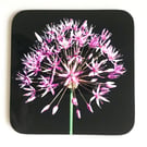 Allium Flower and Stem Square Coaster Pink Green and Black high gloss finish