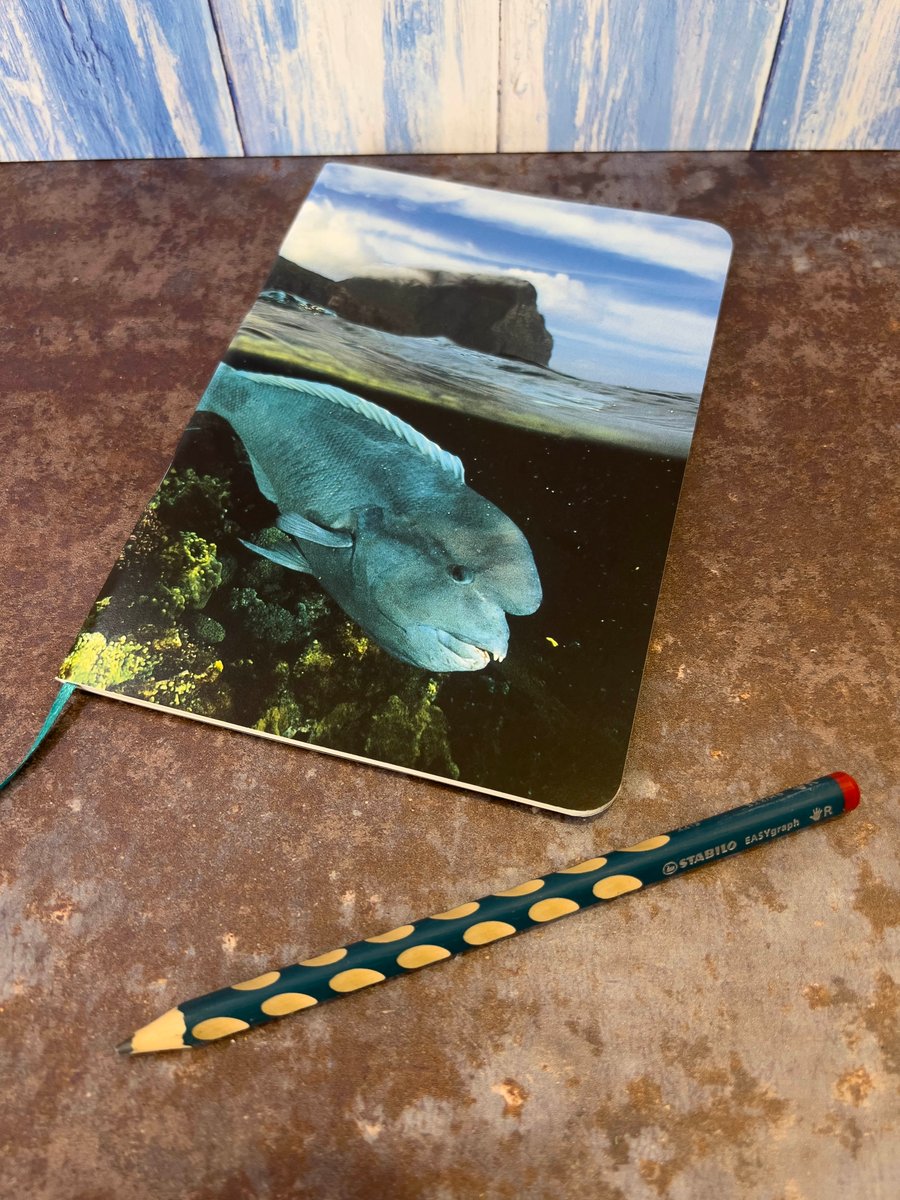 Notebook, Marine themed, A5 (ish), made from up-cycled and recycled materials.