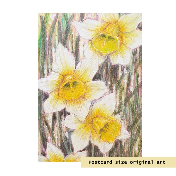 Yellow and white daffodils original drawing, small floral artwork, art