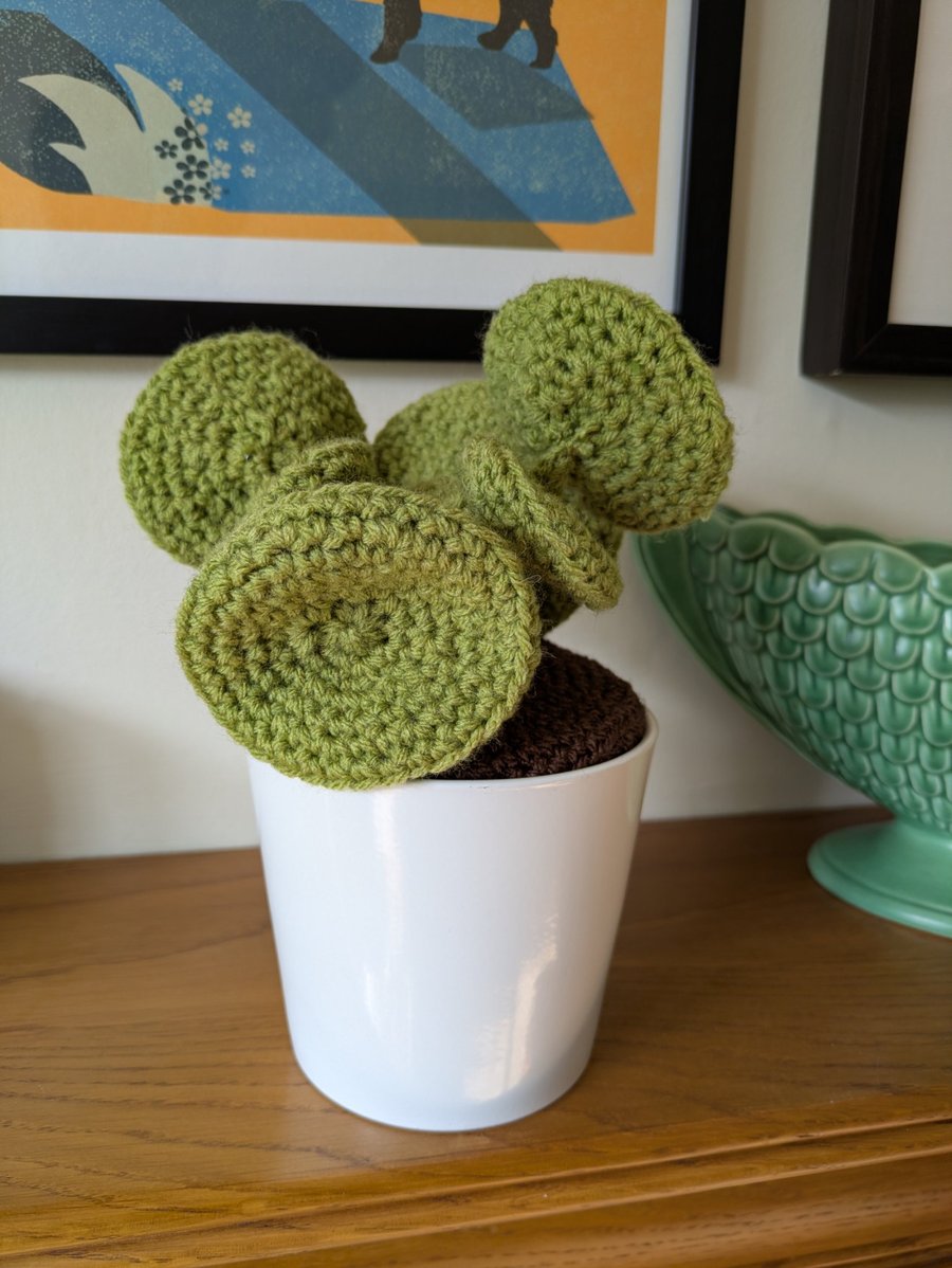 Handmade Crochet Chinese Money Plant