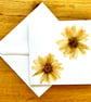 Pack of 3 greeting cards made with real pressed flowers found near home in Essex - Image 3