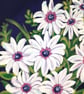 'African Daisy' original painting.   - Image 4