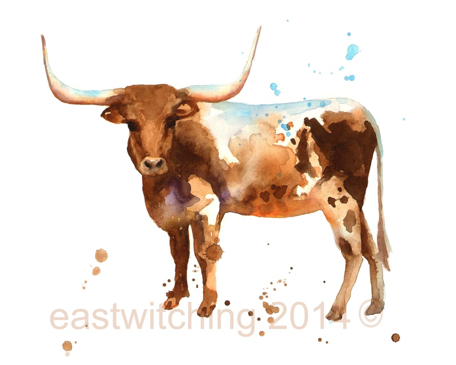 Watercolour Longhorn Steer