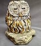 Small Owl - Image 3