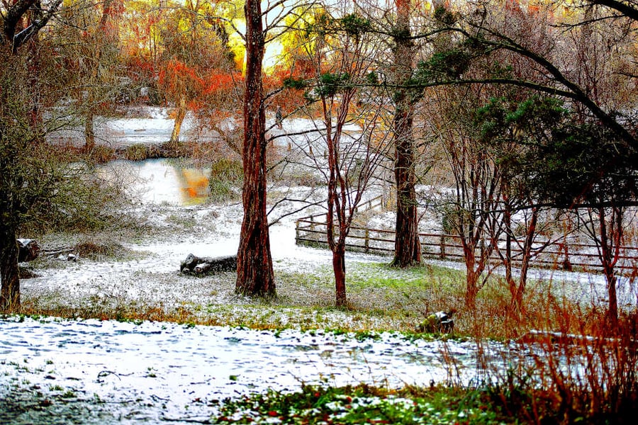 Wintry Picture,Yeovil Somerset Print, Snowfall in Yeovil