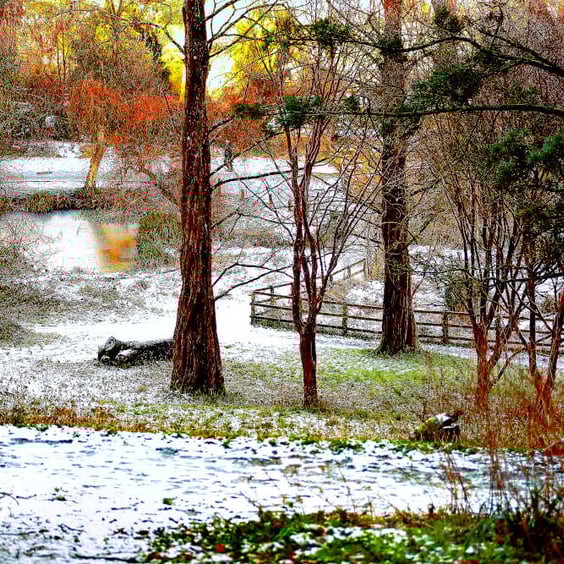 Wintry Picture,Yeovil Somerset Print, Snowfall in Yeovil