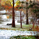 Wintry Picture,Yeovil Somerset Print, Snowfall in Yeovil