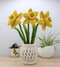 macrame daffodils multi buy offer