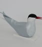Arctic tern - Image 5