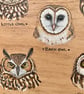 British owls original painting on birch wood - Image 3
