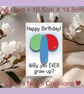 Rude Balloons Birthday Card - Willy A6 10.5cm x 14.8cm - Image 9