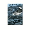 Pied Wagtail two-colour linocut print