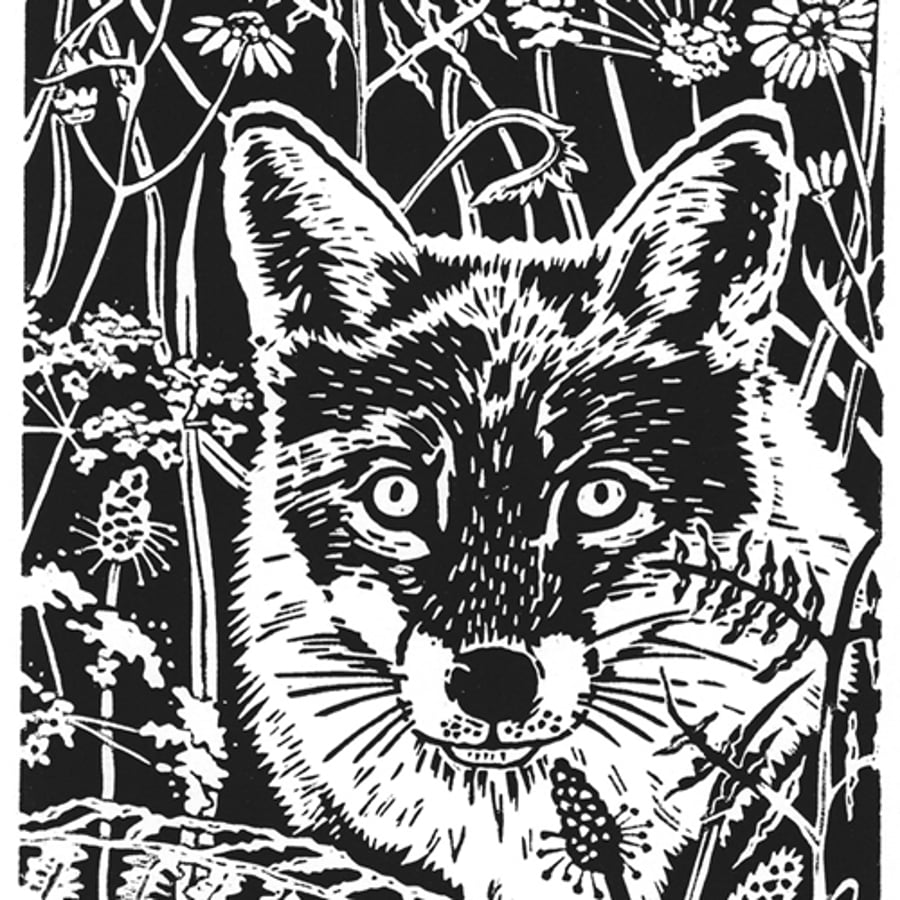 Midsummer Fox, Original hand printed Limited edition Linocut Print