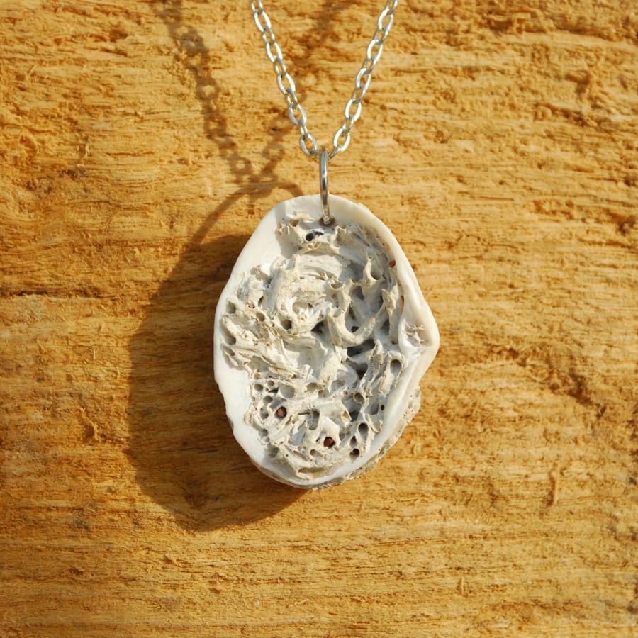 Sea shell pendant with keel worm houses