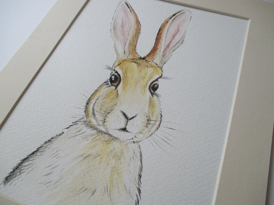 Hare Painting Original Art Picture in Mount Watercolour