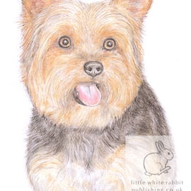 Dennis the Yorkie - Mother's Day Card