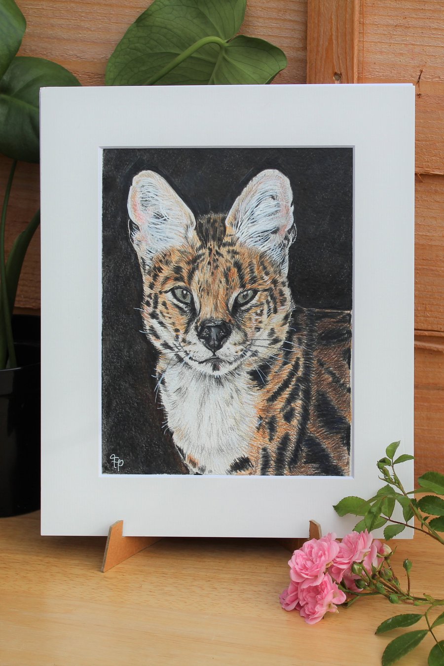 'Serval' Original Art - Big Cat Wildlife Artwork