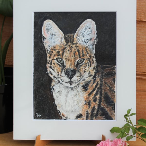 'Serval' Original Art - Big Cat Wildlife Artwork