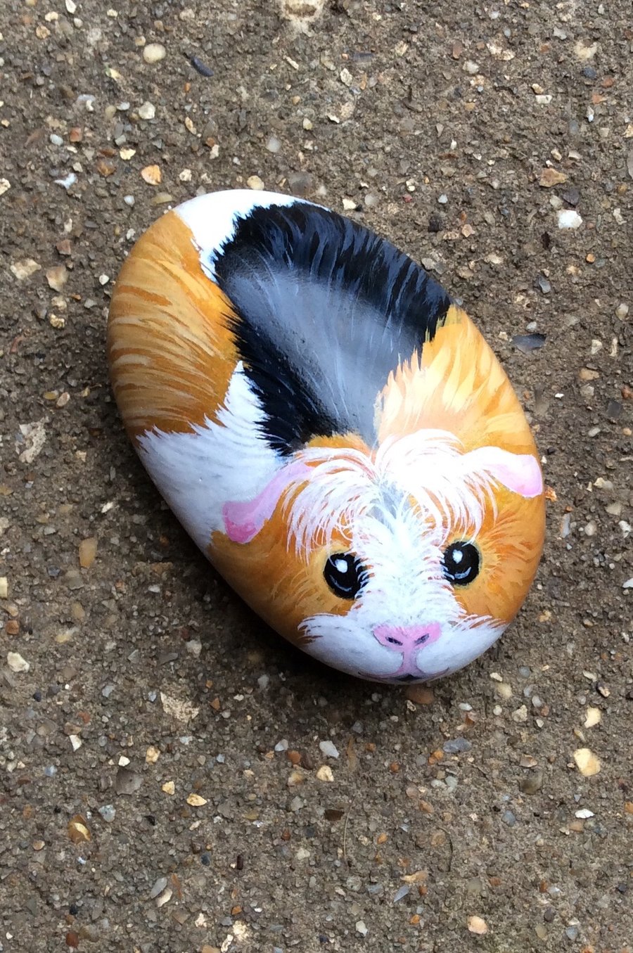 Guinea pig hand painted on stone 