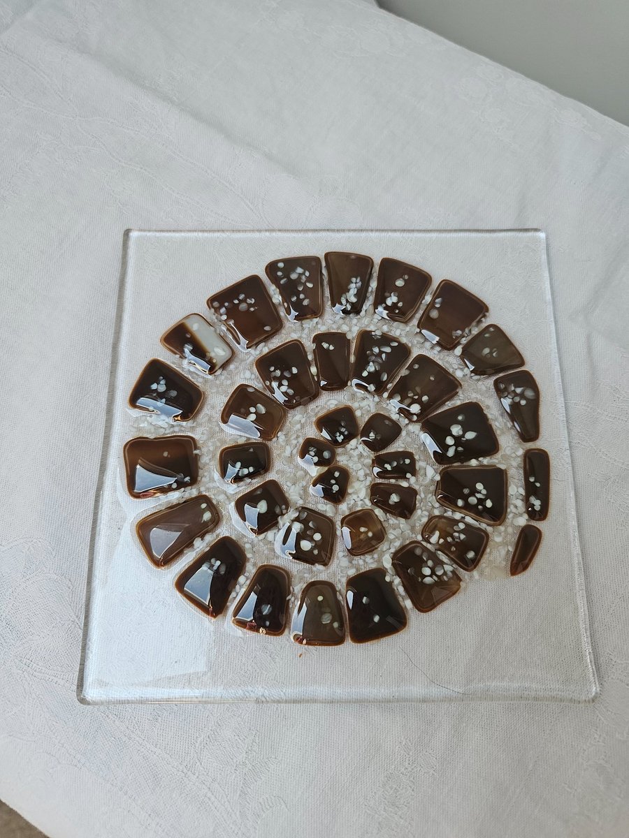 handmade fused glass Ammonite