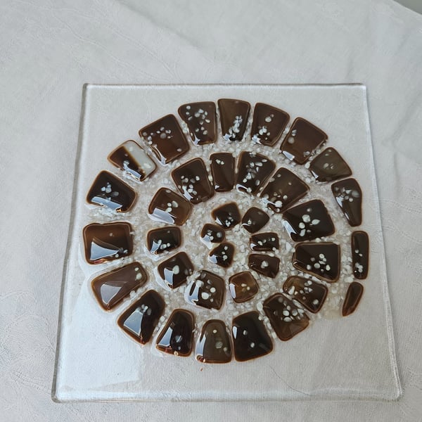 handmade fused glass Ammonite