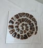handmade fused glass Ammonite