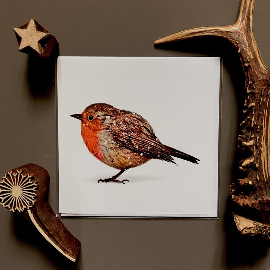 Robin In The Snow Blank Greeting Card