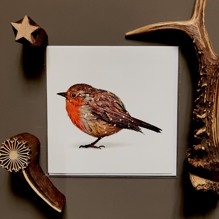 Robin In The Snow Blank Greeting Card