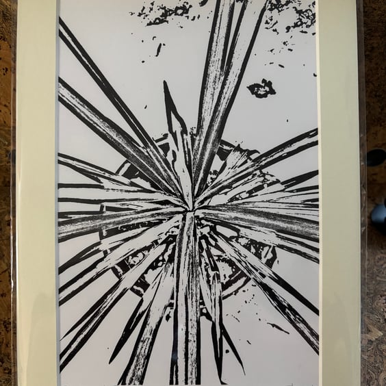 Monochrome Singular Print Eco Friendly Unique Gifts Gardeners Dream Plant