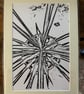 Monochrome Singular Print Eco Friendly Unique Gifts Gardeners Dream Plant - Image 1
