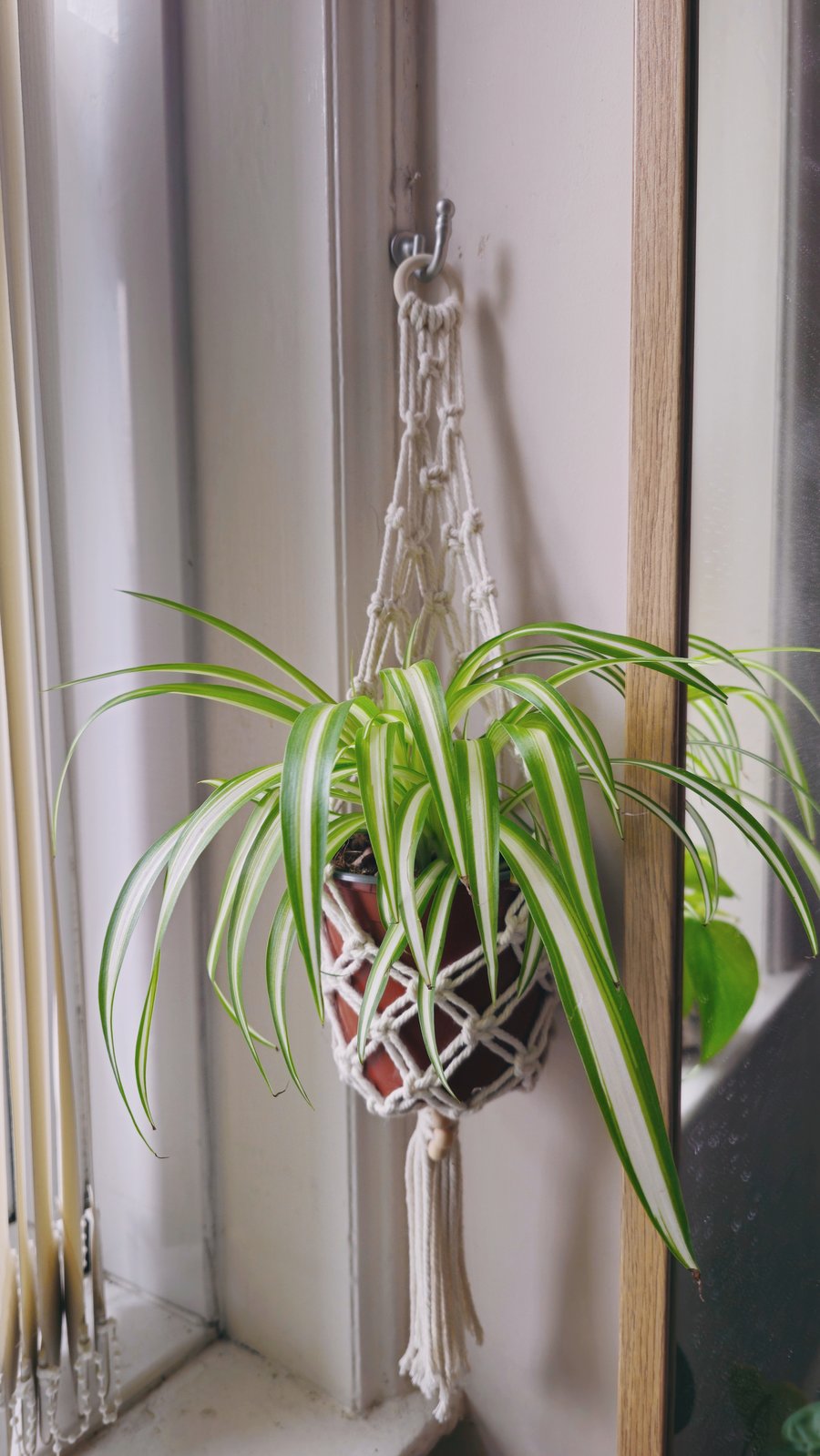 Handmade White Macrame Plant Hanger – Medium Size (58 cm)