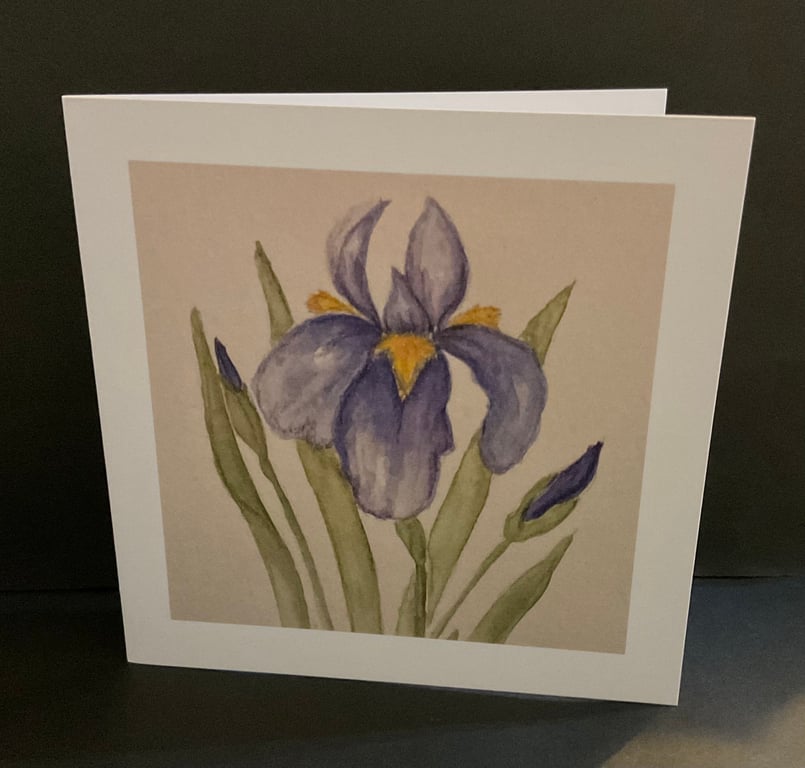 Iris ,a blank card ,suitable for various occasions 