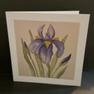 Iris ,a blank card ,suitable for various occasions 