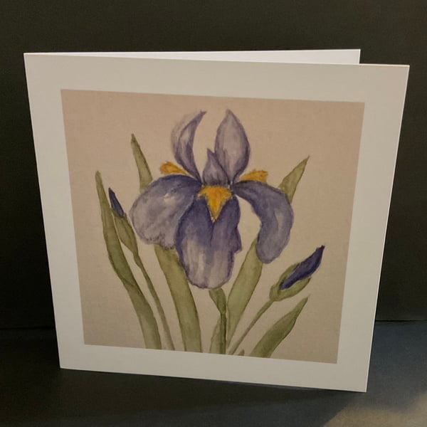 Iris ,a blank card ,suitable for various occasions 