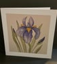 Iris ,a blank card ,suitable for various occasions 