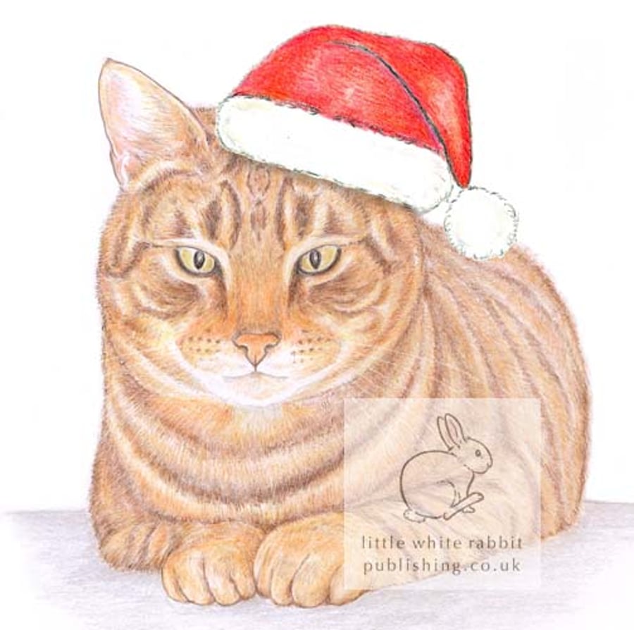 Monty the Cat - Christmas Hat Card