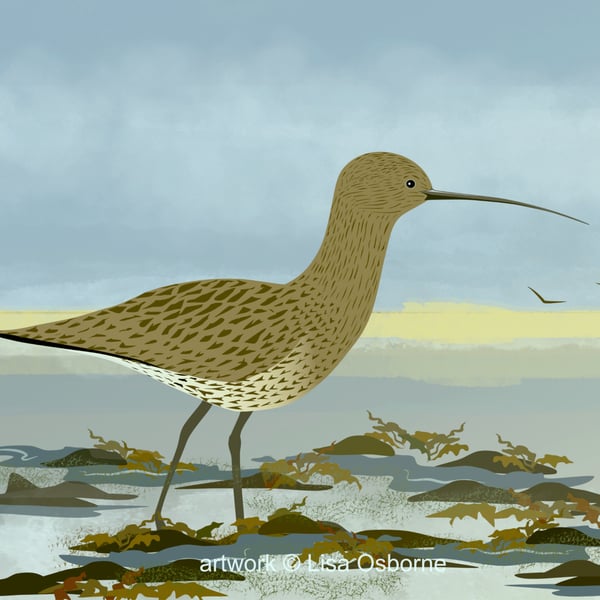 Curlew - bird art print - coastal birds