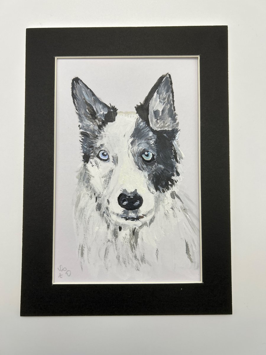 Husky type dog portrait. 5x7" original 