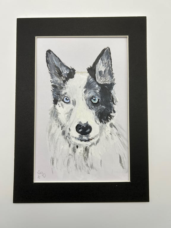 Husky type dog portrait. 5x7" original 