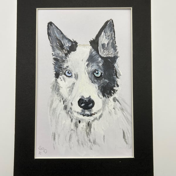 Husky type dog portrait. 5x7" original 