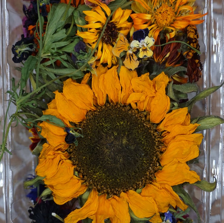 Dried Edible Flowers for Cake Decorating and Co... Folksy