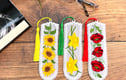 Bookmarks