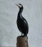 Miniature cormorant - Image 2